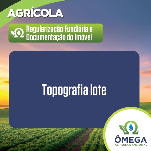 Topografia lote